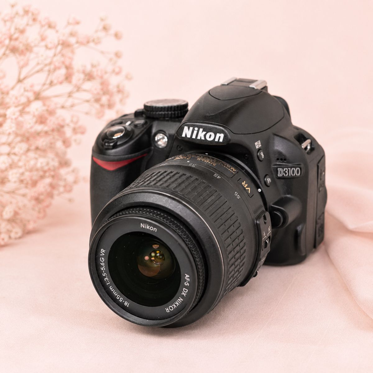 Nikon D3100